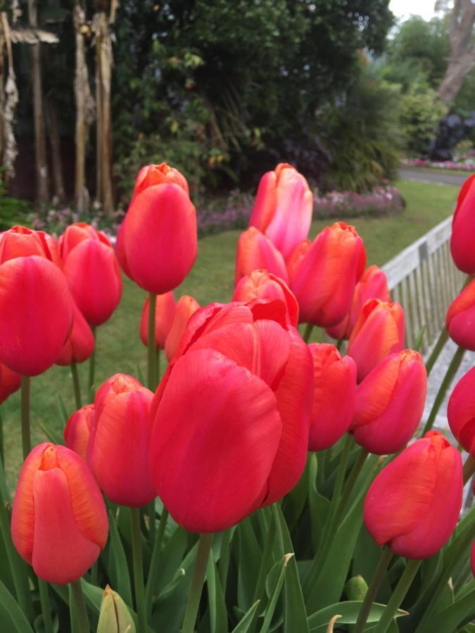 Wynberg House Bed & Breakfast Swansea Esterno foto