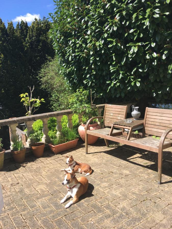 Wynberg House Bed & Breakfast Swansea Esterno foto